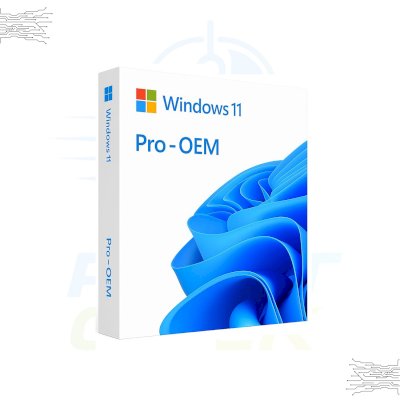 Windows 11 Pro - OEM